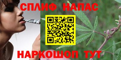 PSILOCYBIN Свободный