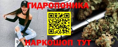 PSILOCYBIN Свободный