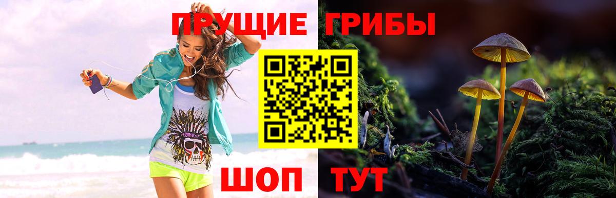 Галлюциногенные грибы GOLDEN TEACHER  Вход с VPN  Прохладный  Галлюциногенные грибы GOLDEN TEACHER 